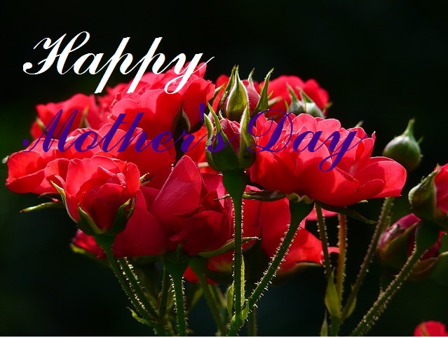 Happy Mother’s Day (A Tribute to my&nbsp;Mother)