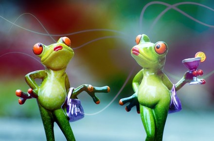 frogs-1200380_640