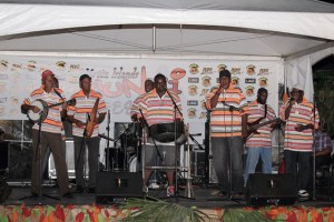 Fungi Band. Image from the Virgin Islands Platinum