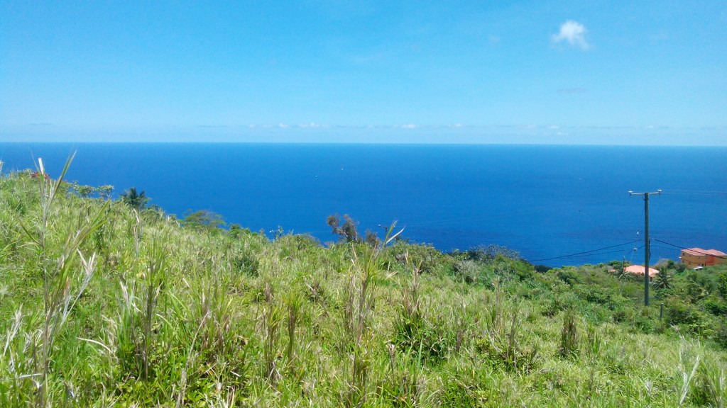 Make The Most Of The&nbsp;Moment