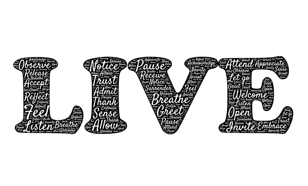 Where Is Your&nbsp;Refuge?