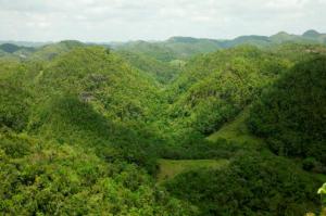 The hills of Blue Mountain