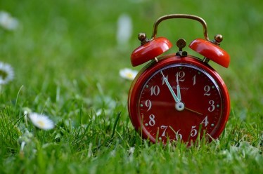 the-eleventh-hour-758723_640 (1)
