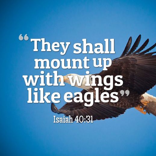 Mount up with wings