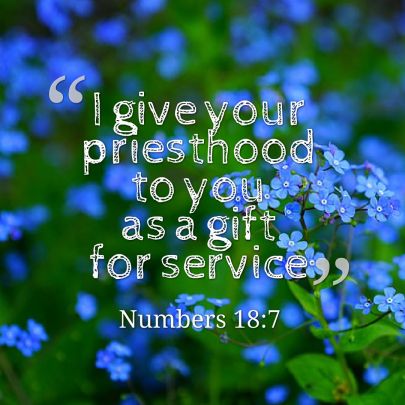 Priesthood as a gift