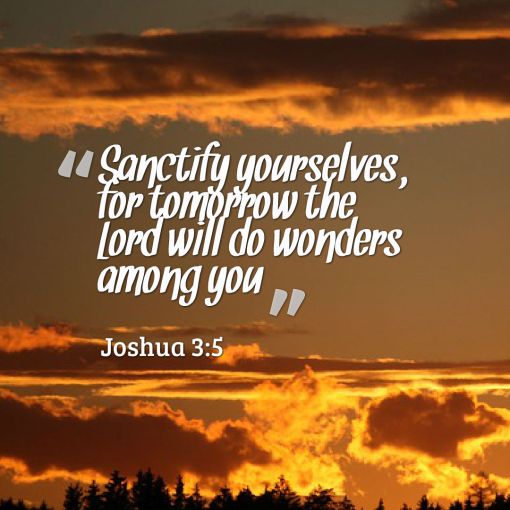 sanctify yourself
