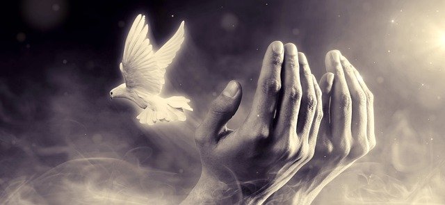 Trust In The Mercy Of&nbsp;God