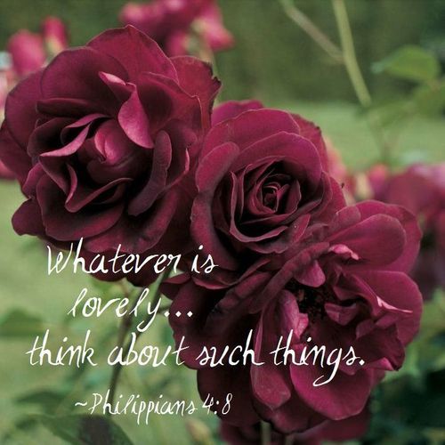 inspirational-bible-quotes-38