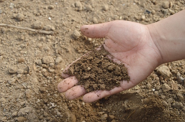 How Fertile Is Your&nbsp;Soil?