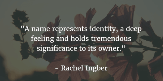 bb2e633252a3e673ba2c4114d0895541