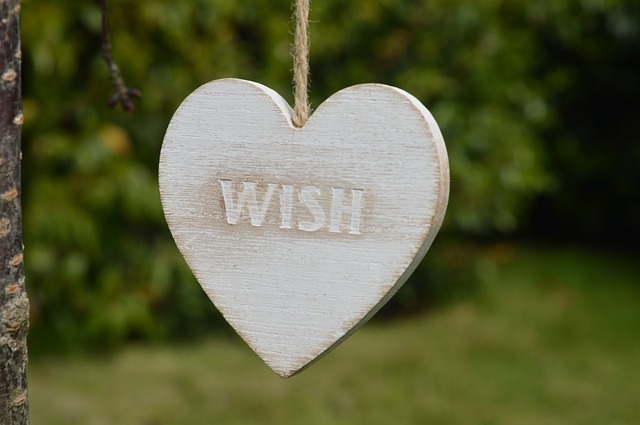 One Wish